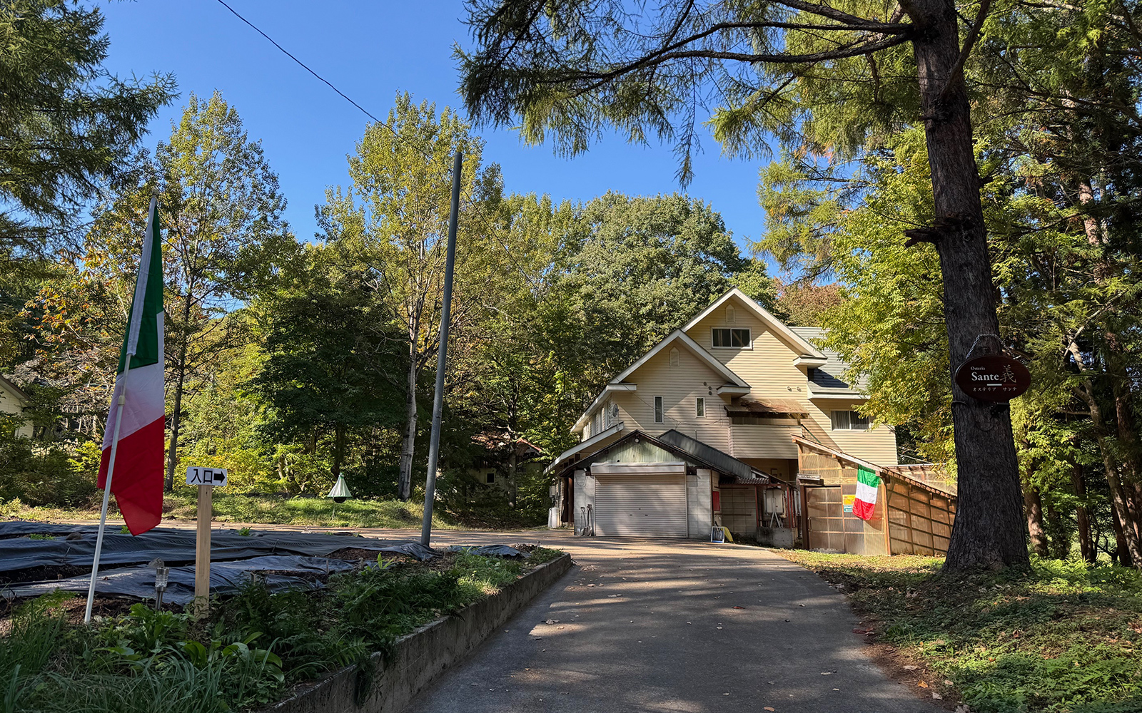 Forest Lounge 外観 - 森に囲まれた一棟貸し宿