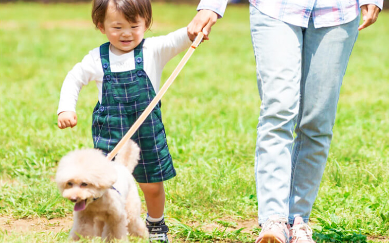 ペットと一緒に泊まれる宿 - 愛犬と過ごす森の休日